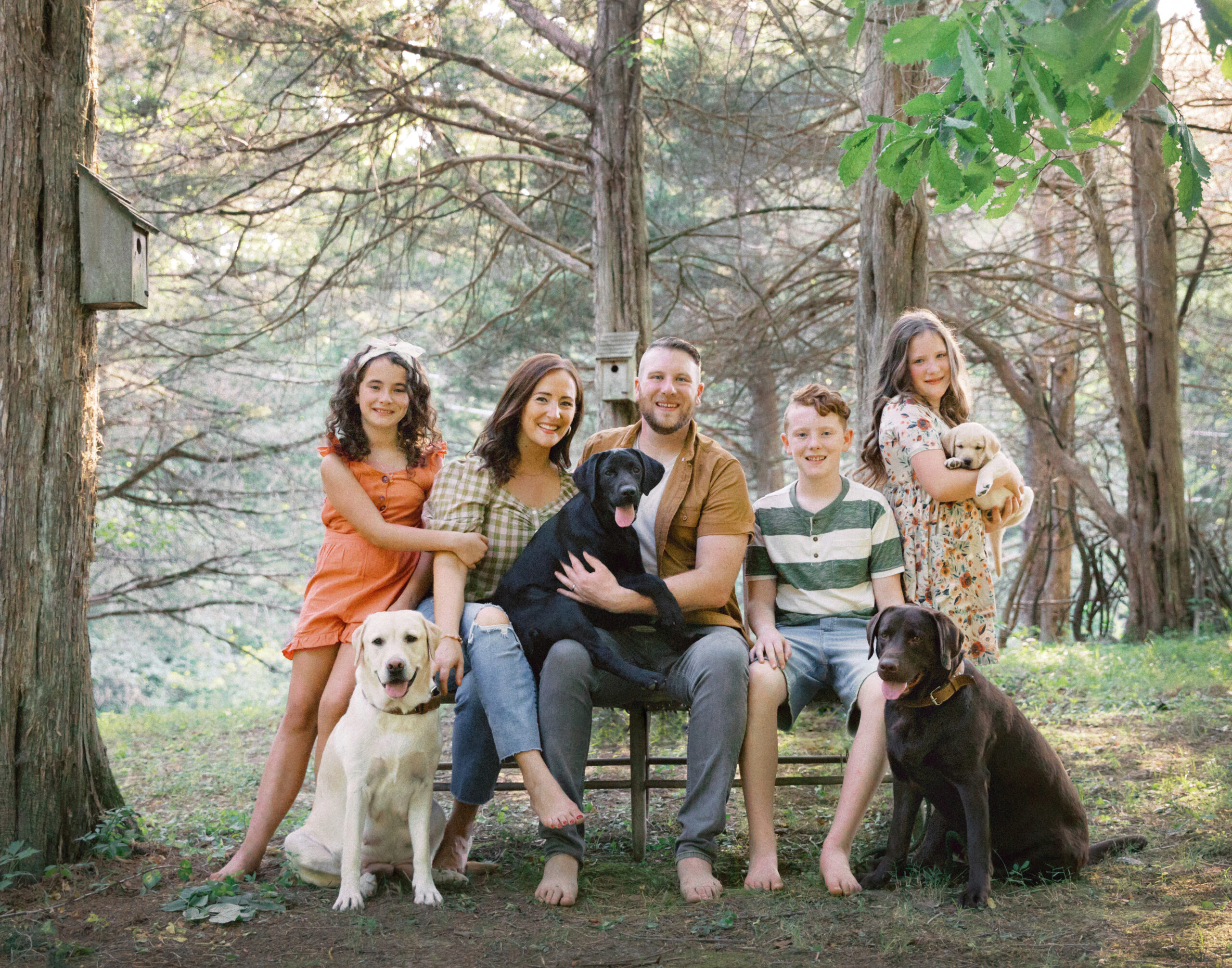 heritage creek labs | indiana labrador puppy breeder