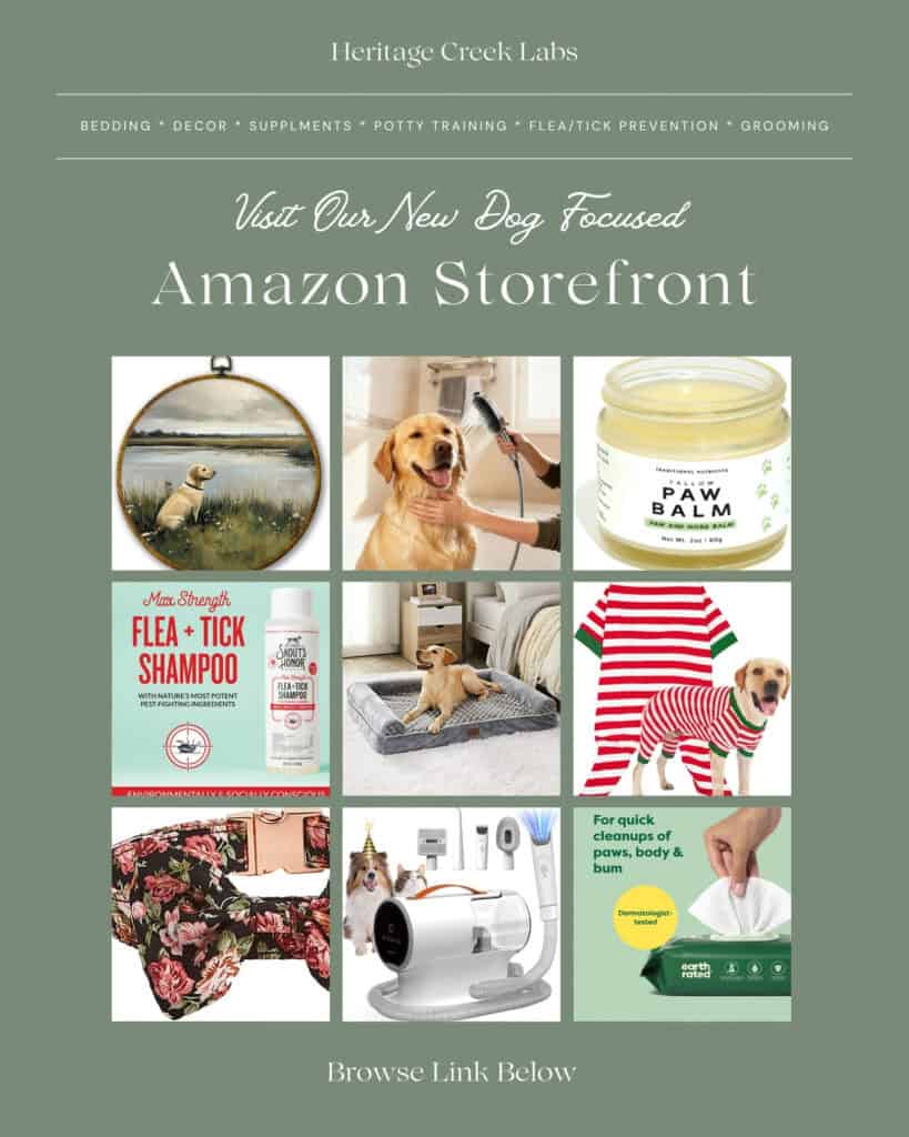 amazon storefront heritage creek labs breeder